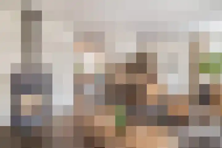 Tweerijten 25 Nuenen thumbnail 8