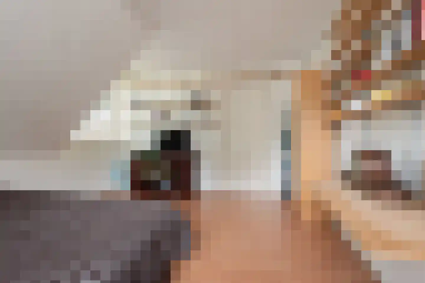 Tweerijten 29 Nuenen thumbnail 32
