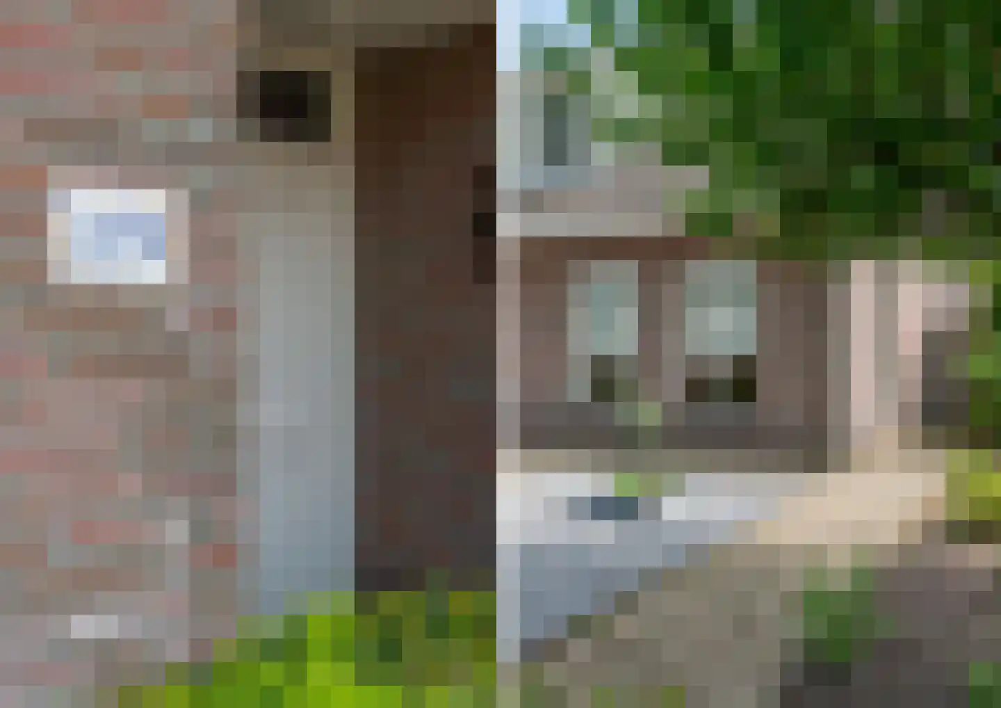 Tweerijten 29 Nuenen thumbnail 7