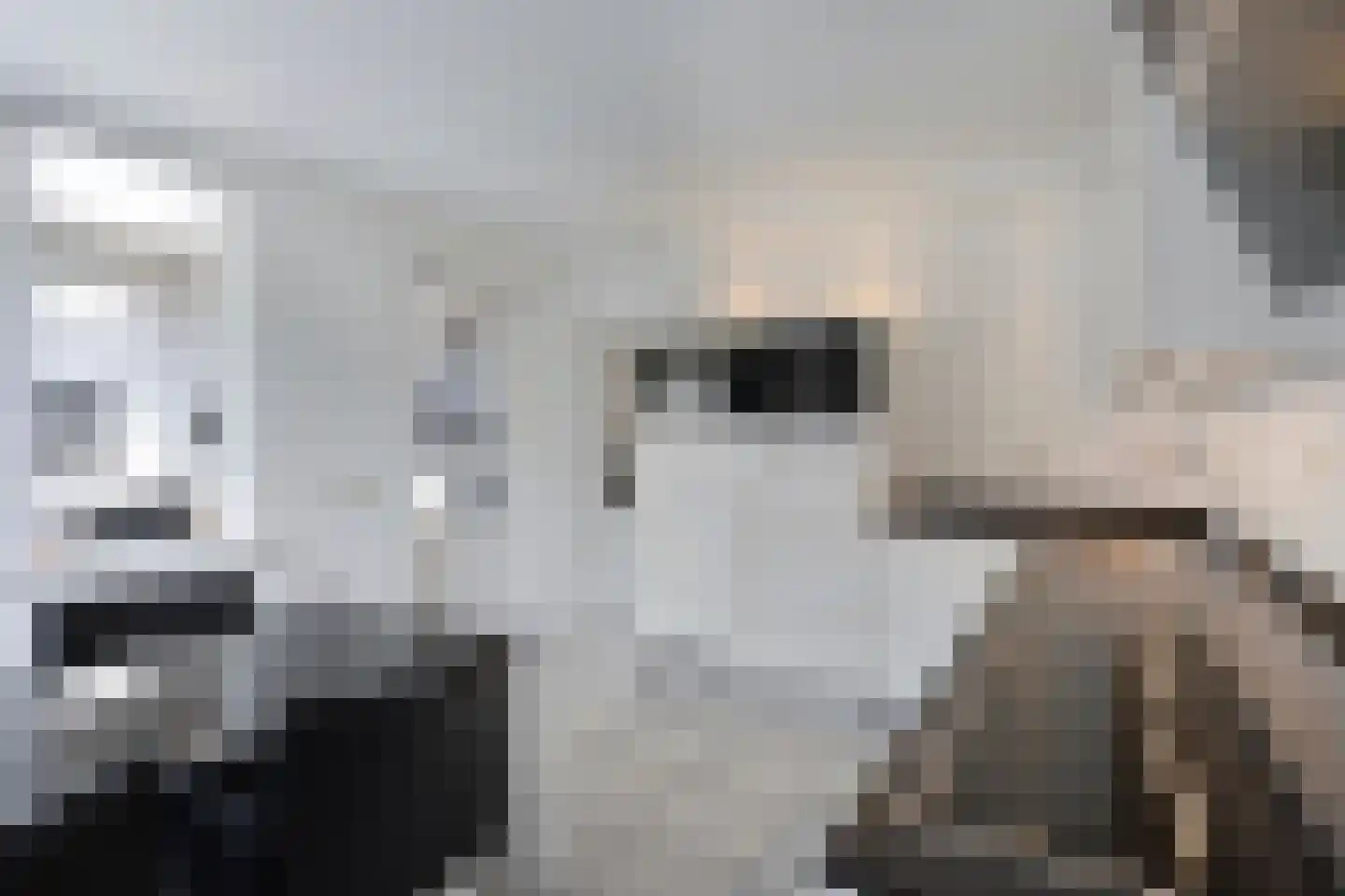 Tweerijten 4 Nuenen thumbnail 16