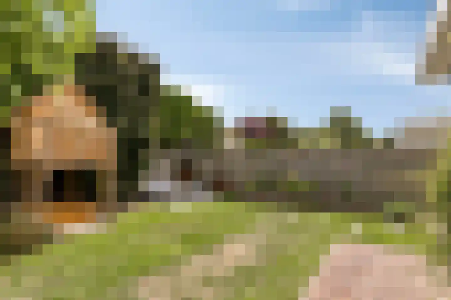 Tweerijten 9 Nuenen thumbnail 28