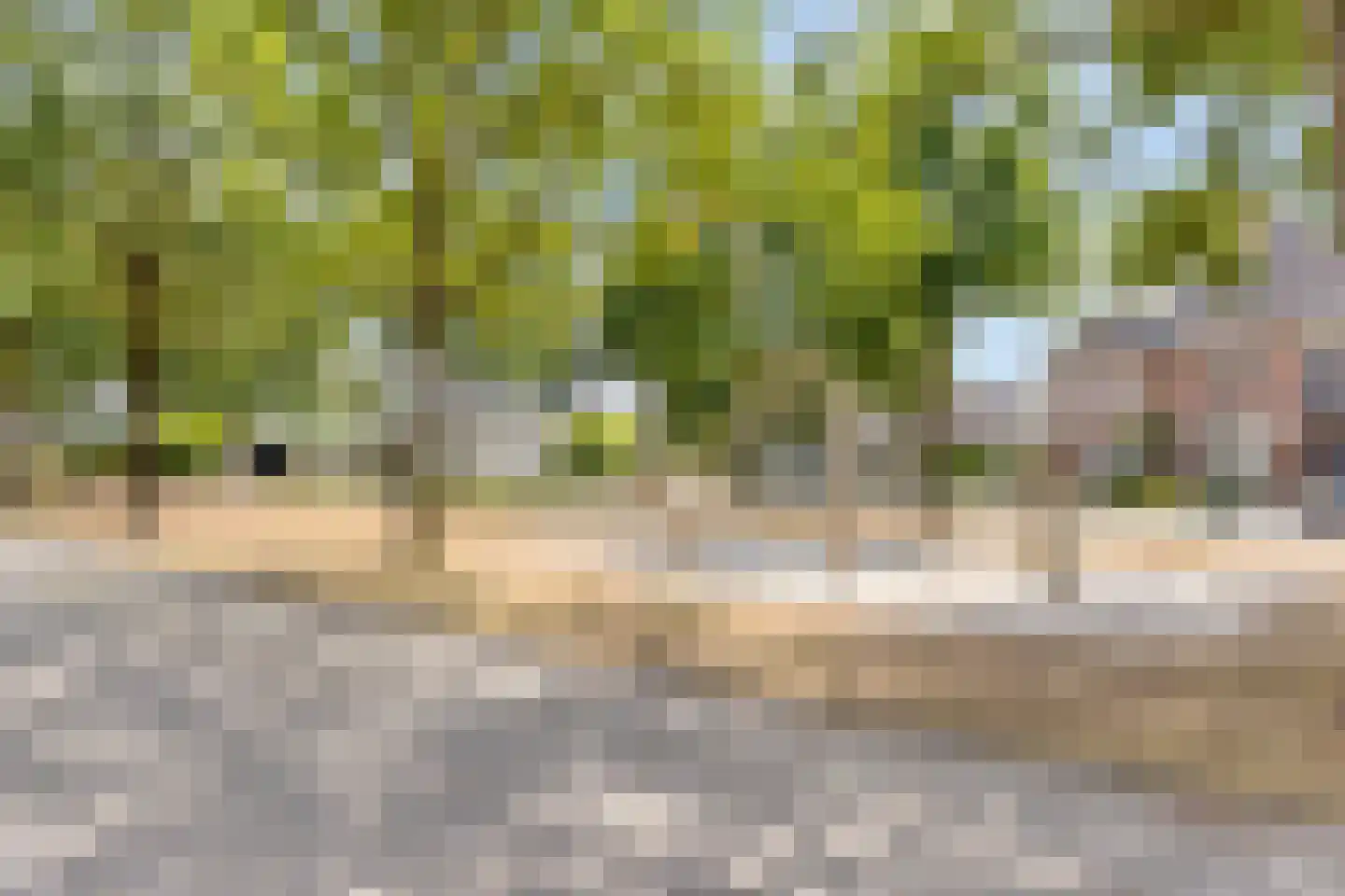 Tweerijten 9 Nuenen thumbnail 33