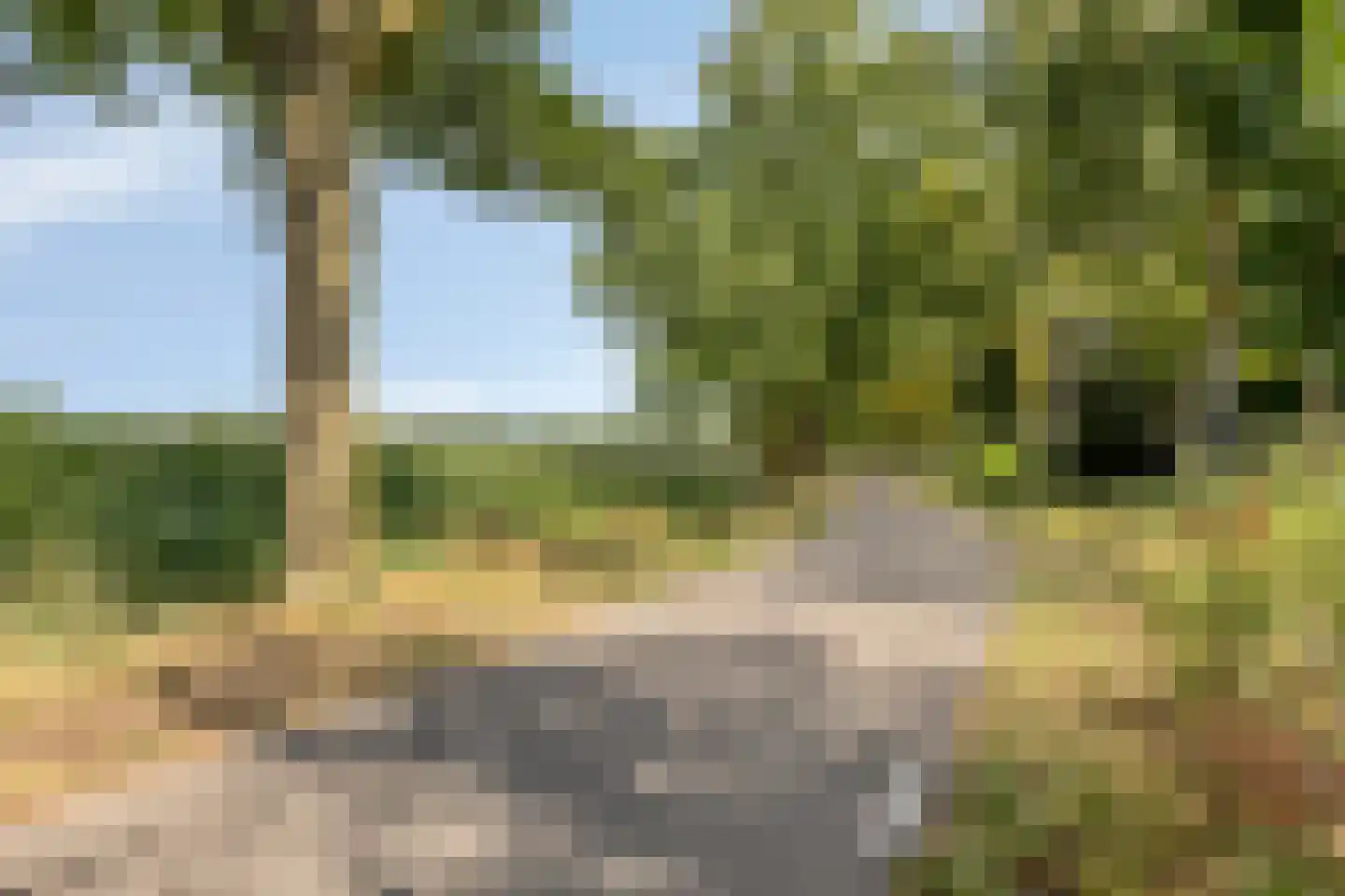 Tweerijten 9 Nuenen thumbnail 34