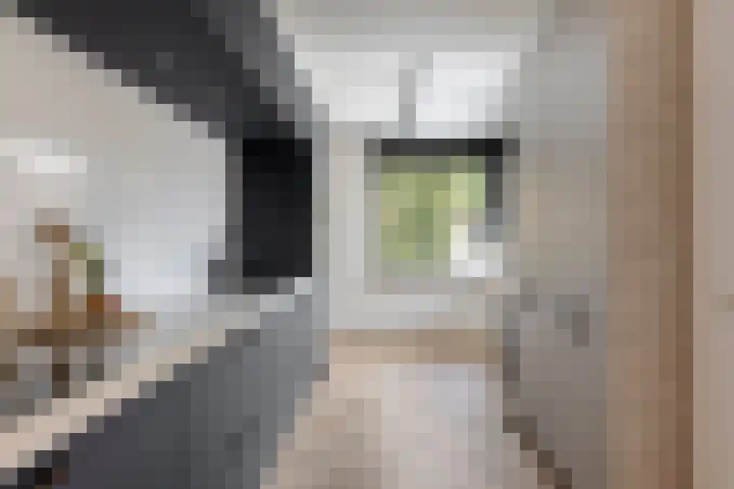 Tweerijten 9 Nuenen thumbnail 5