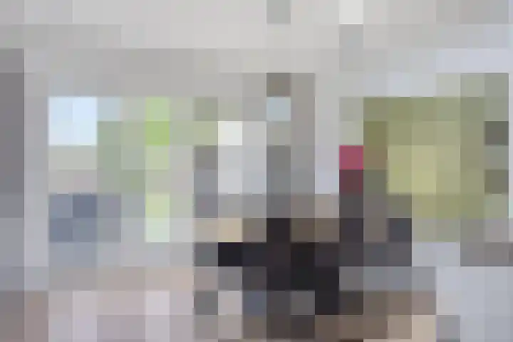 Tweeschaar 19 Bant thumbnail 14