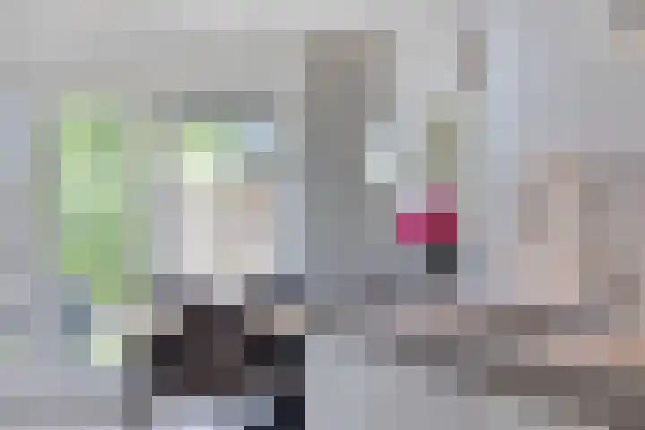 Tweeschaar 19 Bant thumbnail 17