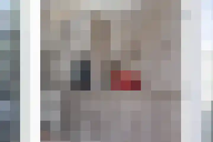 Tweeschaar 19 Bant thumbnail 18
