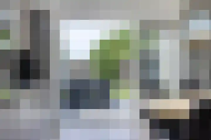 Tweeschaar 19 Bant thumbnail 19