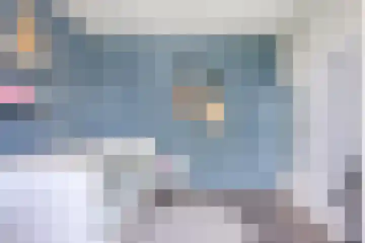 Tweeschaar 19 Bant thumbnail 21