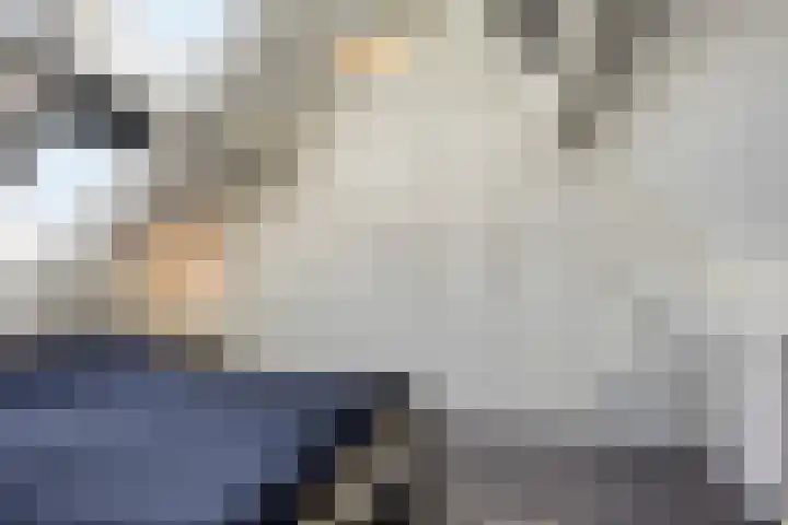 Tweeschaar 19 Bant thumbnail 28
