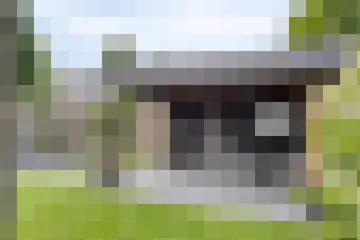 Tweeschaar 19 Bant thumbnail 30