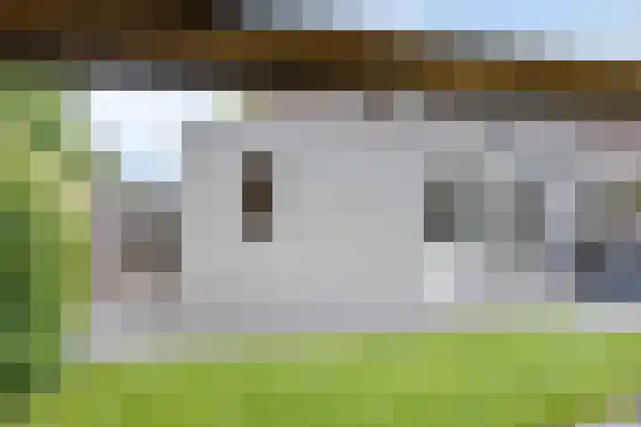 Tweeschaar 19 Bant thumbnail 31