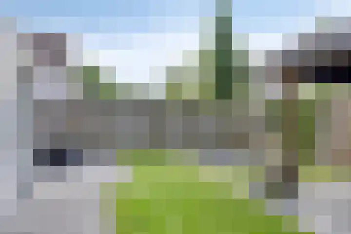 Tweeschaar 19 Bant thumbnail 32