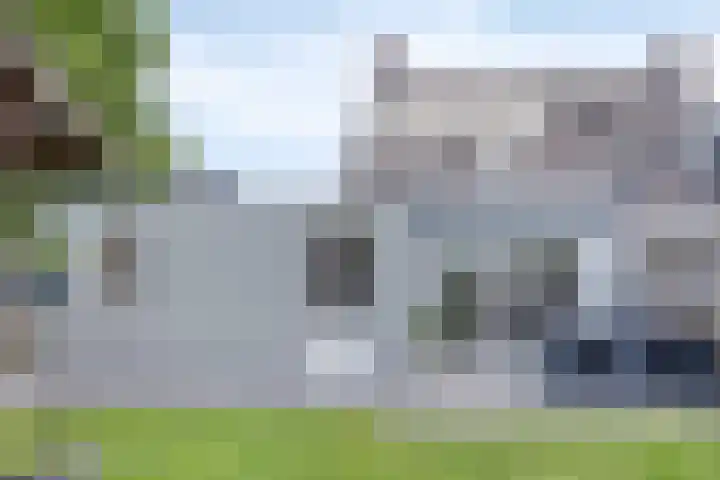 Tweeschaar 19 Bant thumbnail 33