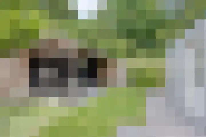Tweeschaar 19 Bant thumbnail 35