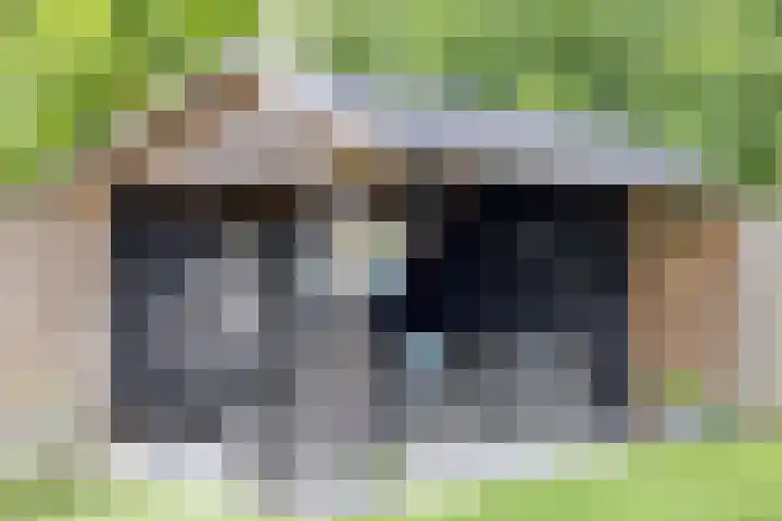 Tweeschaar 19 Bant thumbnail 36
