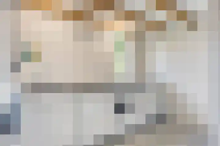 Tweeschaar 19 Bant thumbnail 39
