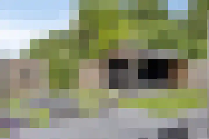 Tweeschaar 19 Bant thumbnail 4