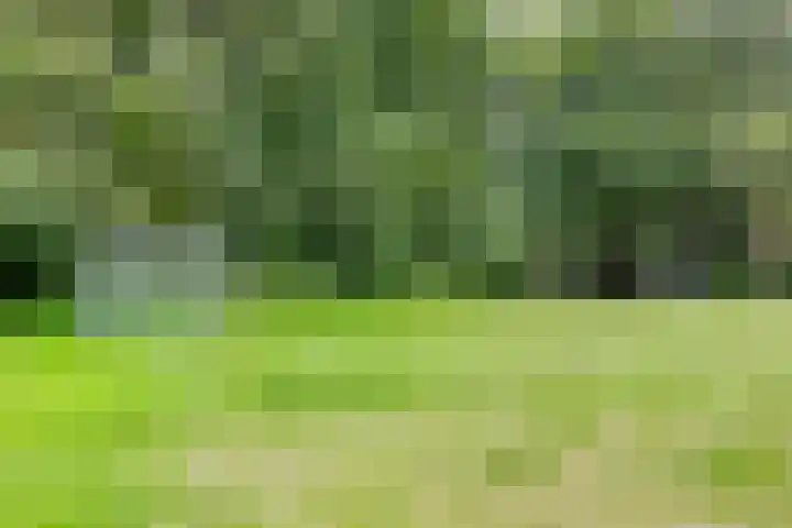 Tweeschaar 19 Bant thumbnail 40