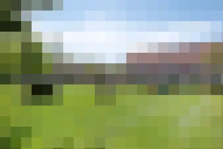 Tweeschaar 19 Bant thumbnail 43