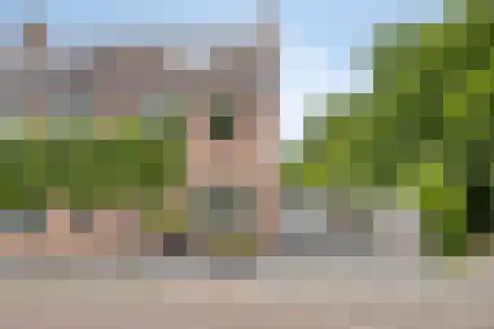 Tweeschaar 19 Bant thumbnail 5