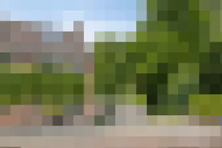 Tweeschaar 19 Bant thumbnail 6