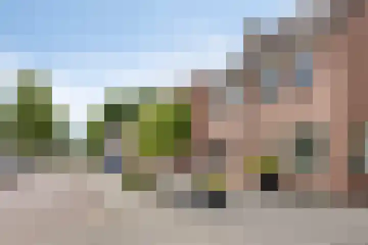 Tweeschaar 19 Bant thumbnail 7