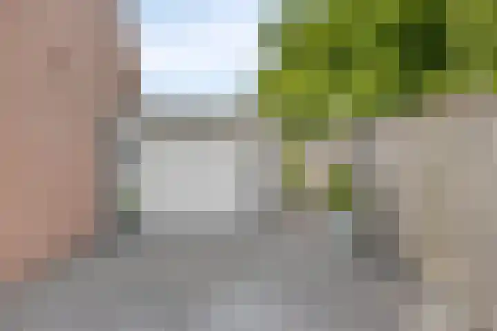 Tweeschaar 19 Bant thumbnail 8