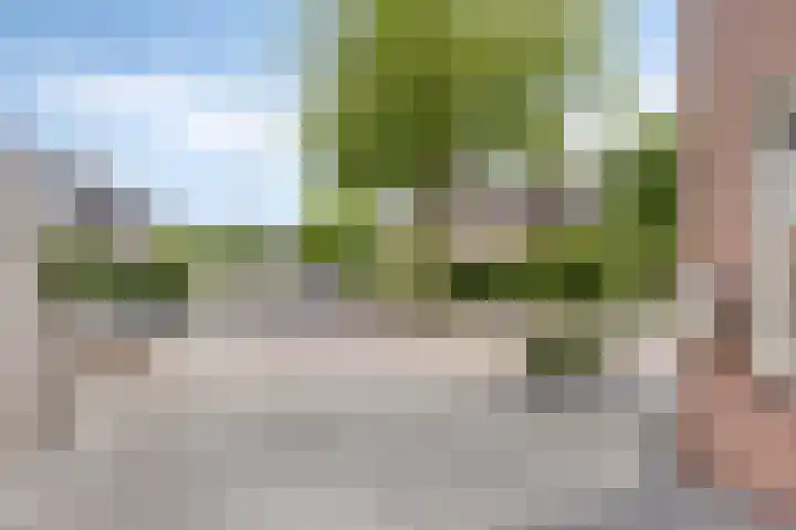 Tweeschaar 19 Bant thumbnail 9
