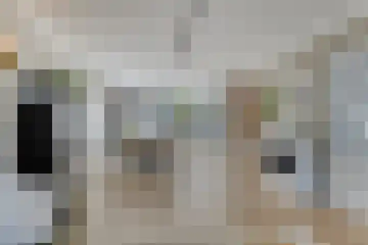 Tweeschaar 19 Breda thumbnail 12
