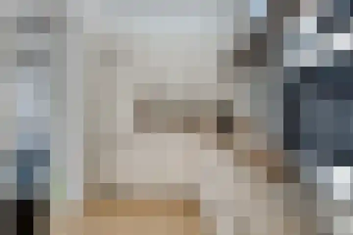 Tweeschaar 19 Breda thumbnail 15