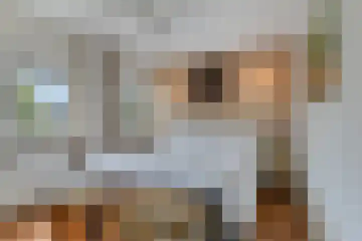 Tweeschaar 19 Breda thumbnail 19