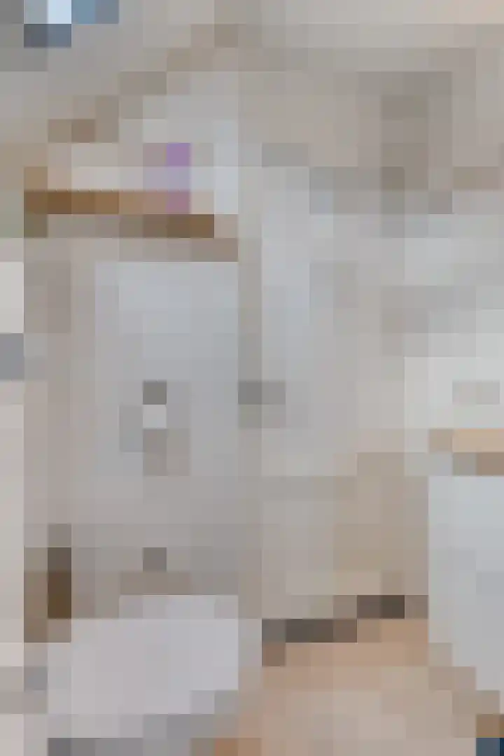 Tweeschaar 19 Breda thumbnail 22