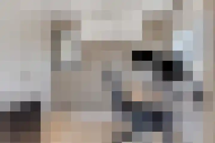 Tweeschaar 19 Breda thumbnail 28