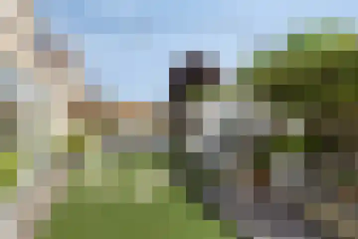 Tweeschaar 19 Breda thumbnail 30