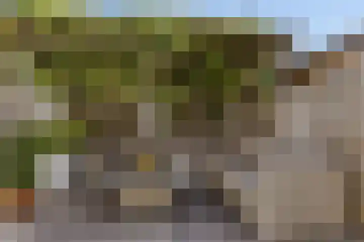 Tweeschaar 19 Breda thumbnail 32