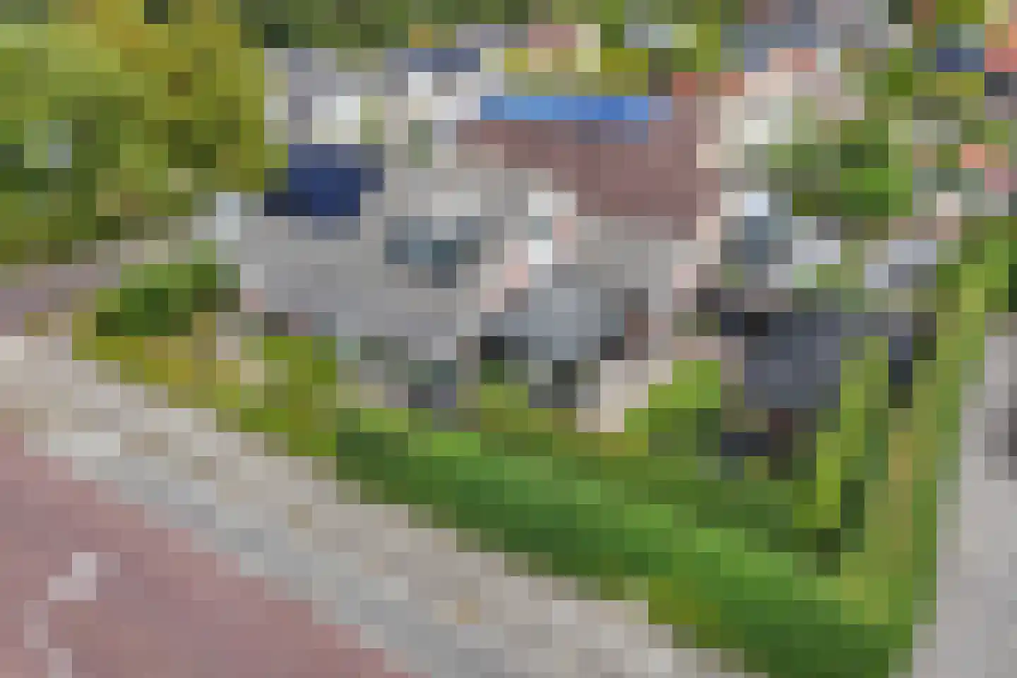 Tweeschaar 28 Bant thumbnail 10