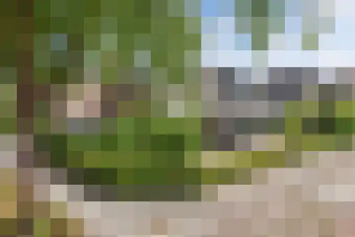 Tweeschaar 28 Bant thumbnail 11
