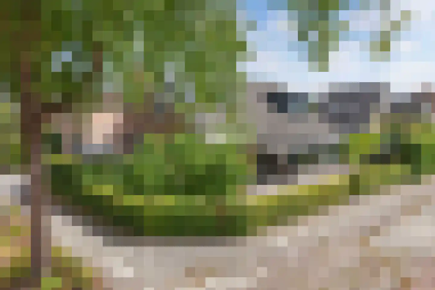 Tweeschaar 28 Bant thumbnail 11