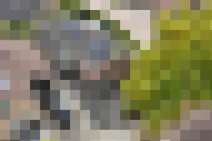 Tweeschaar 28 Bant thumbnail 13