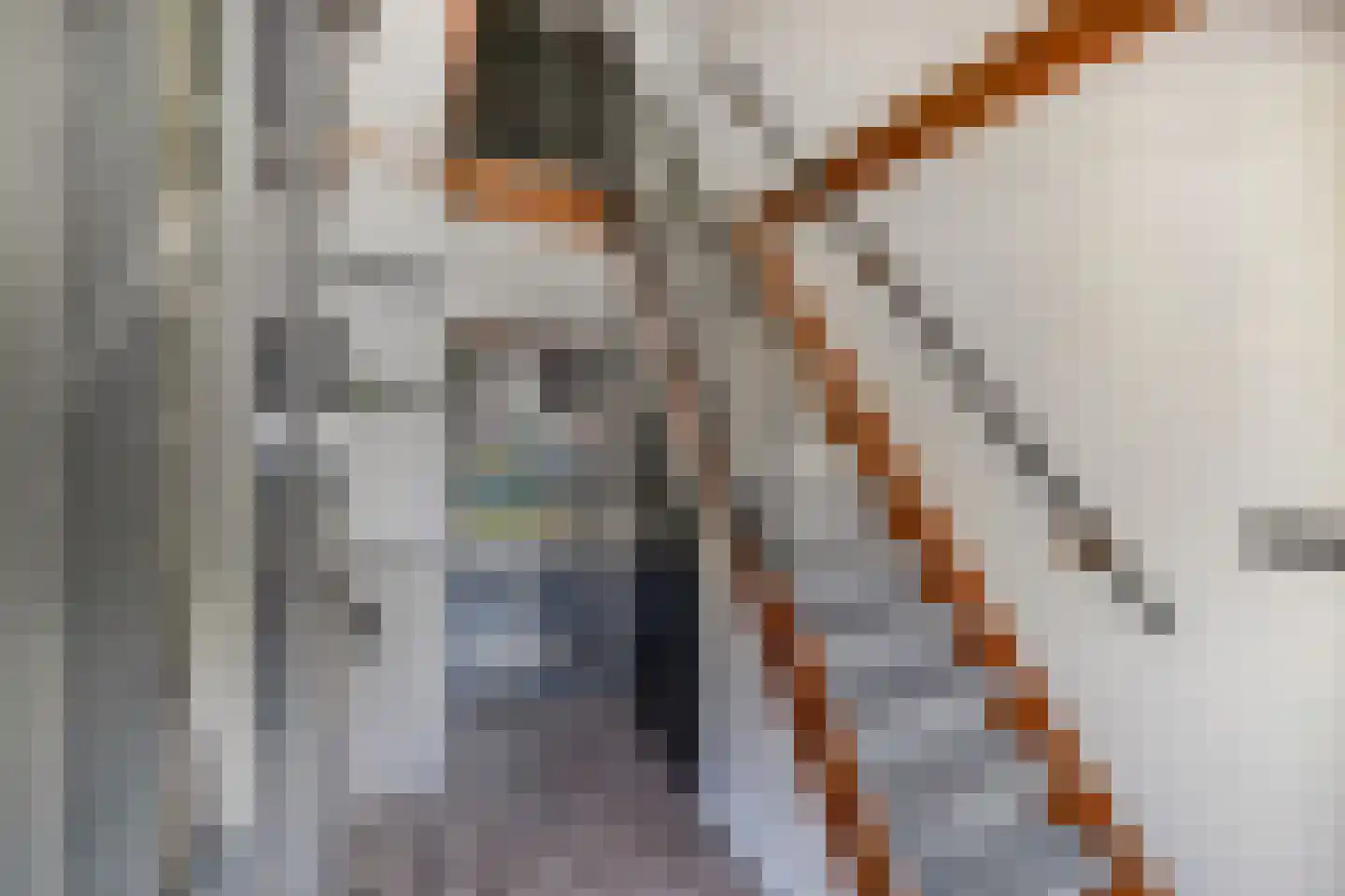 Tweeschaar 28 Bant thumbnail 14