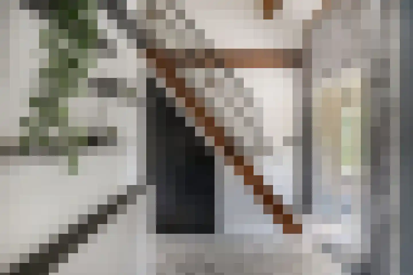 Tweeschaar 28 Bant thumbnail 15