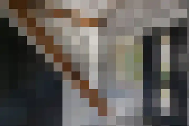 Tweeschaar 28 Bant thumbnail 17