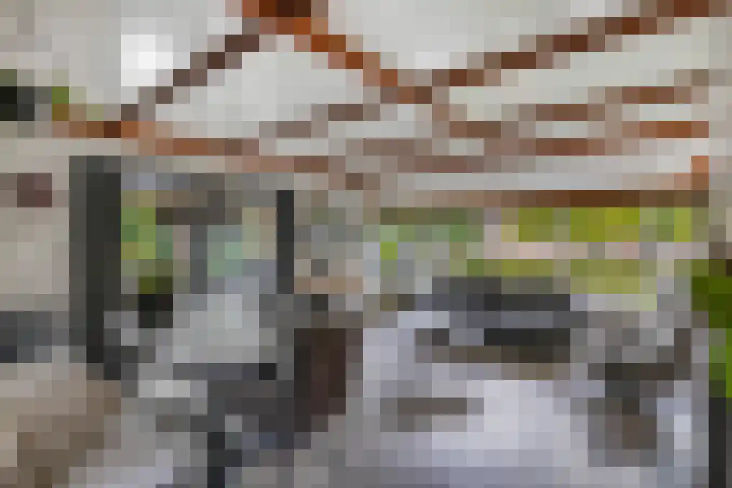 Tweeschaar 28 Bant thumbnail 18
