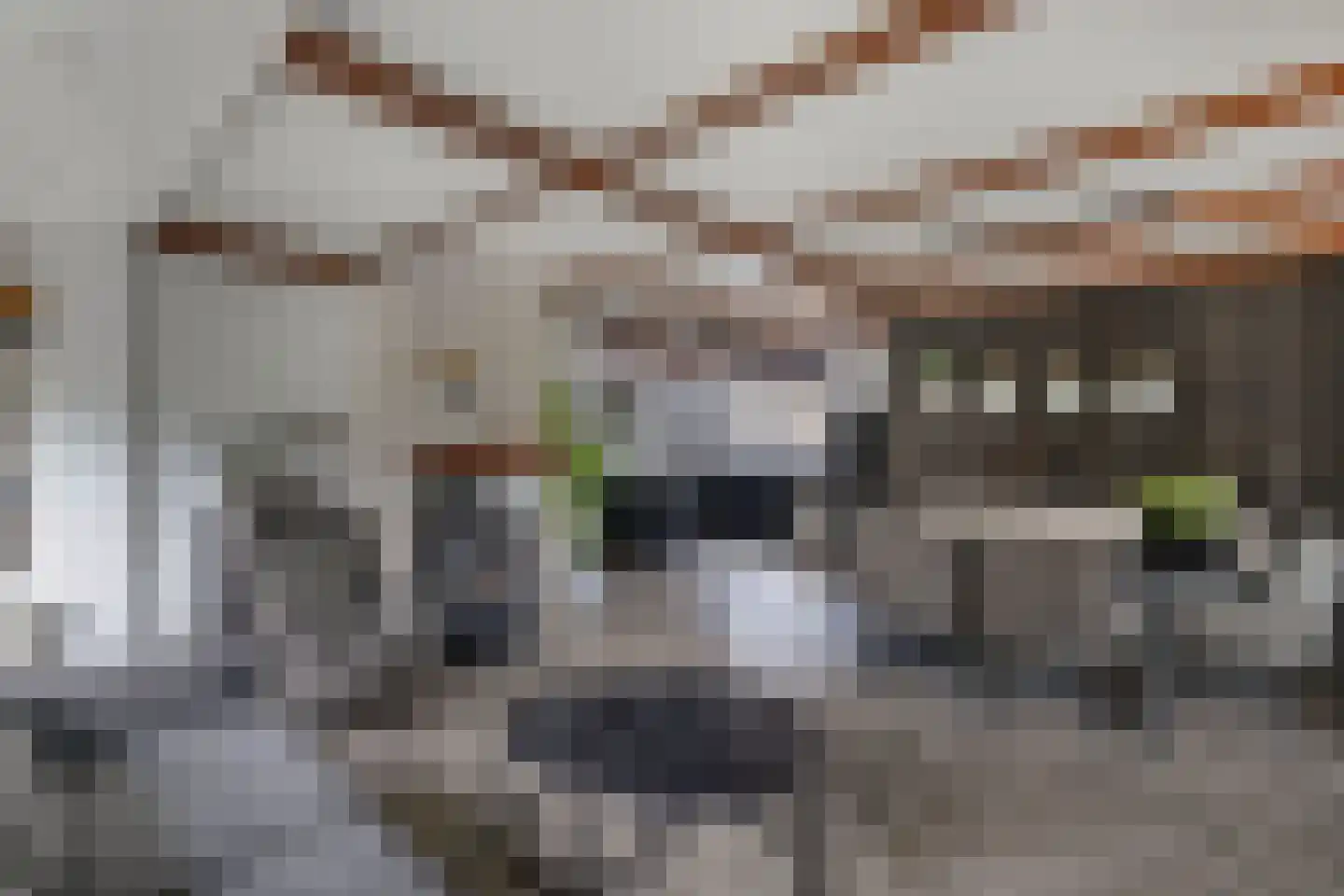 Tweeschaar 28 Bant thumbnail 19