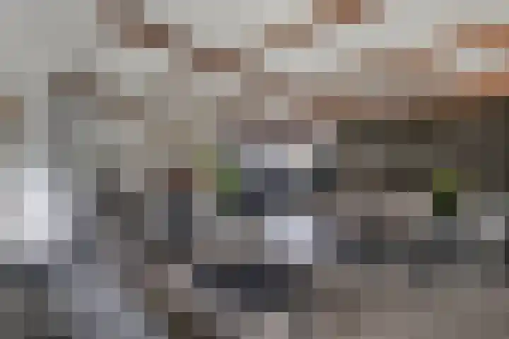 Tweeschaar 28 Bant thumbnail 19