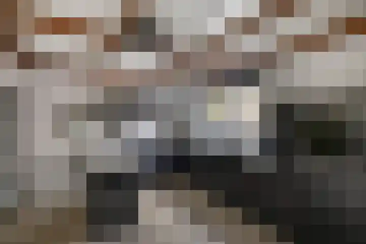 Tweeschaar 28 Bant thumbnail 22