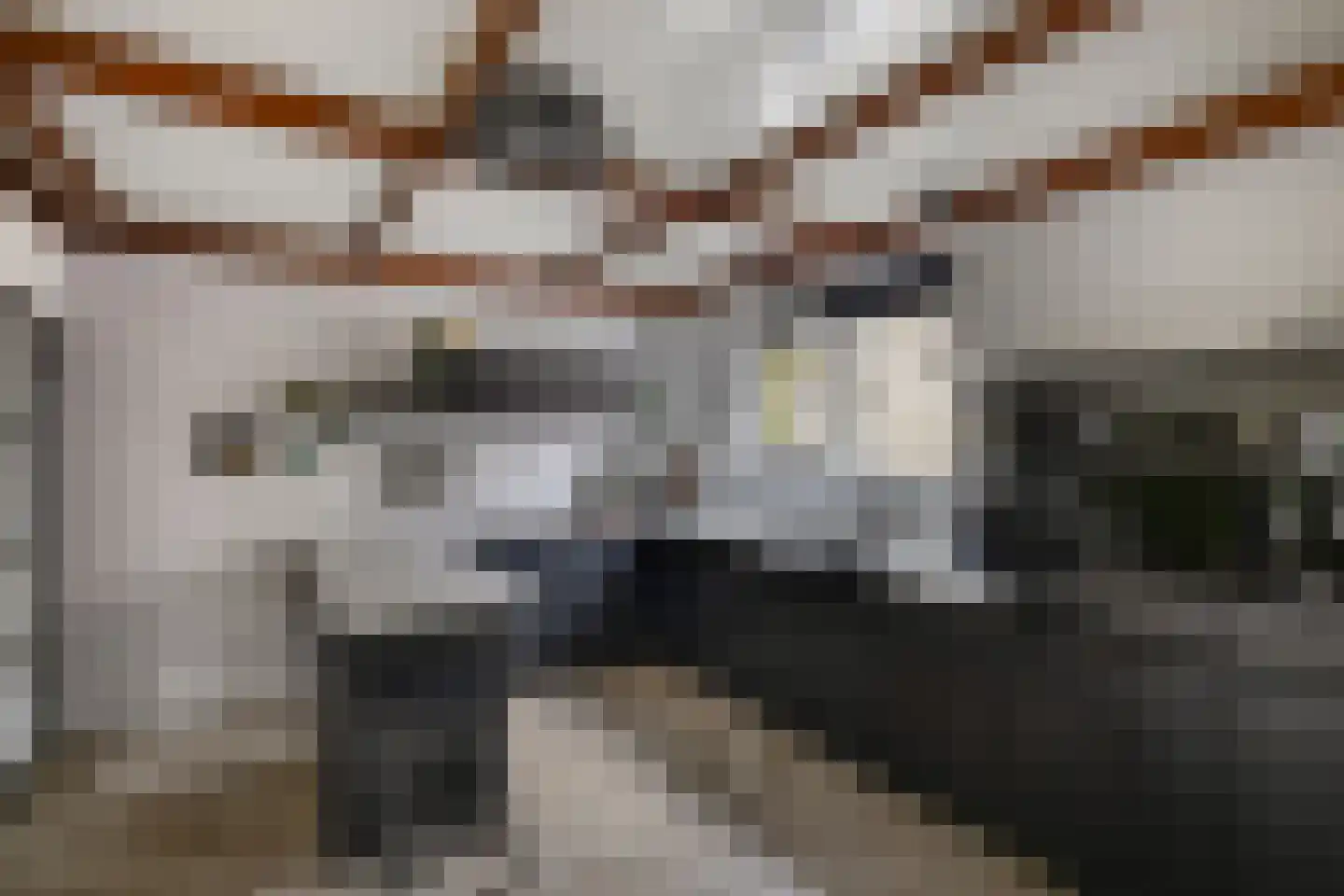 Tweeschaar 28 Bant thumbnail 22