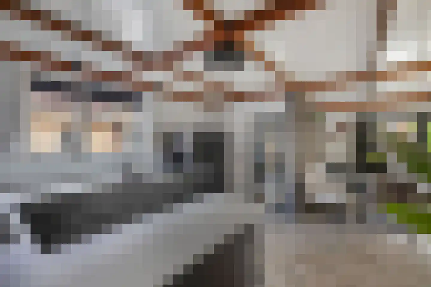 Tweeschaar 28 Bant thumbnail 23