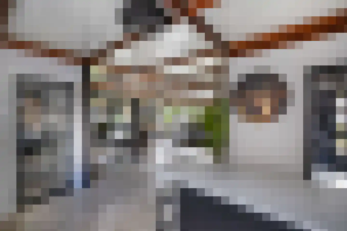 Tweeschaar 28 Bant thumbnail 24